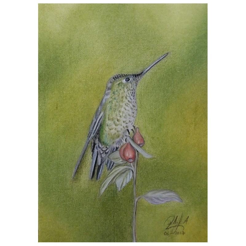 18 x 25 cm Picaflor chico - pastel seco sobre papel ingres