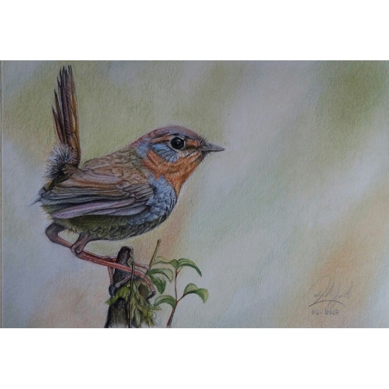 21 x 30 cm Chucao - pastel seco sobre papel ingres