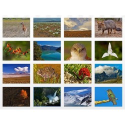 Postales Un Paseo por Chile