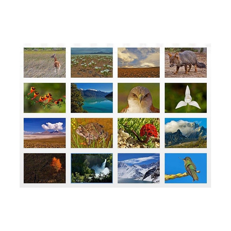 Postales Un Paseo por Chile