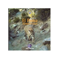 El Puma del Altiplano de Tarapacá
