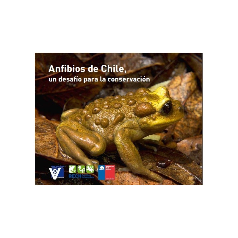 Anfibios de Chile un desafío para la conservación