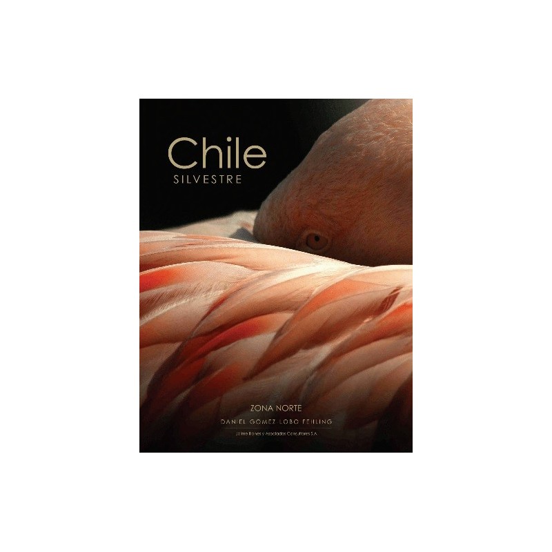 Chilesilvestre - Zona Norte